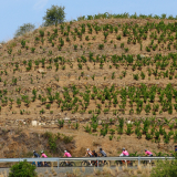 M2_Priorat_Wine_Tour-058