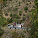 M2_Priorat_Wine_Tour-066