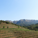 M2_Priorat_Wine_Tour-112