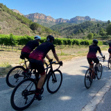 M2_Priorat_Wine_Tour-113