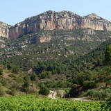 M2_Priorat_Wine_Tour-114