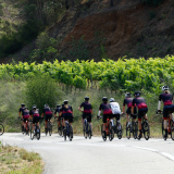M2_Priorat_Wine_Tour-120