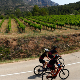 M2_Priorat_Wine_Tour-122