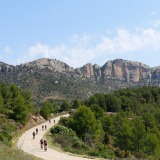 M2_Priorat_Wine_Tour-123