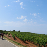 M2_Priorat_Wine_Tour-124