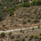M2_Priorat_Wine_Tour-127