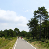 M2_Priorat_Wine_Tour-140