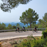 M2_Priorat_Wine_Tour-146