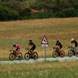 M2_Priorat_Wine_Tour-194