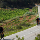 M2_Priorat_Wine_Tour-206