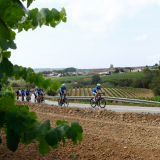 M2_Priorat_Wine_Tour-212