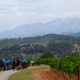 M2_Priorat_Wine_Tour-213