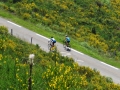 Bikecat-M2-Transpirinaica-Tour-2019-035