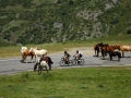 Bikecat-M2-Transpirinaica-Tour-2019-065