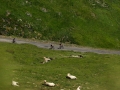 Bikecat-M2-Transpirinaica-Tour-2019-132