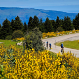 M2-Sud-de-France-Tour-011