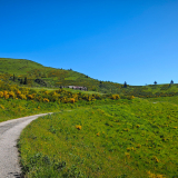 M2-Sud-de-France-Tour-047