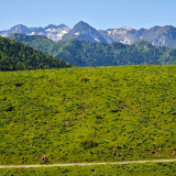M2-Sud-de-France-Tour-048