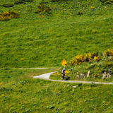 M2-Sud-de-France-Tour-050