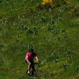 M2-Sud-de-France-Tour-052