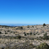 Conan_Tour_2023-047