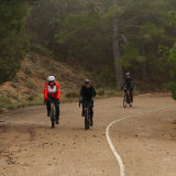 Mariposa_Conan_Tour_2024-002