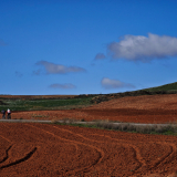 Mariposa_Conan_Tour_2024-031