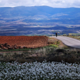 Mariposa_Conan_Tour_2024-038