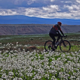 Mariposa_Conan_Tour_2024-039