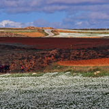 Mariposa_Conan_Tour_2024-045