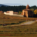 Mariposa_Conan_Tour_2024-074