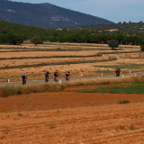 Mariposa_Conan_Tour_2024-077