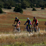 Mariposa_Conan_Tour_2024-078