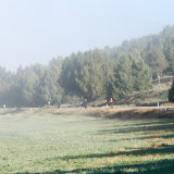 Mariposa_Conan_Tour_2024-099