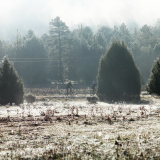 Mariposa_Conan_Tour_2024-101