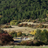 Mariposa_Conan_Tour_2024-105