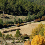 Mariposa_Conan_Tour_2024-106