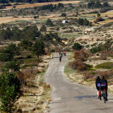 Mariposa_Conan_Tour_2024-109