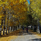 Mariposa_Conan_Tour_2024-111