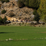 Mariposa_Conan_Tour_2024-116