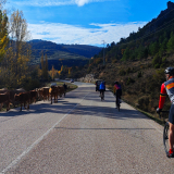 Mariposa_Conan_Tour_2024-128