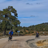 Mariposa_Conan_Tour_2024-148