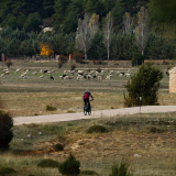 Mariposa_Conan_Tour_2024-154