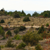 Mariposa_Conan_Tour_2024-157