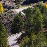 Mariposa_Conan_Tour_2024-160