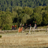 Mariposa_Conan_Tour_2024-168