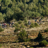 Mariposa_Conan_Tour_2024-169