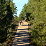 Mariposa_Conan_Tour_2024-171