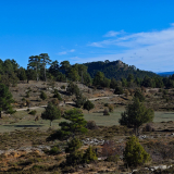 Mariposa_Conan_Tour_2024-173