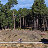 Mariposa_Conan_Tour_2024-174